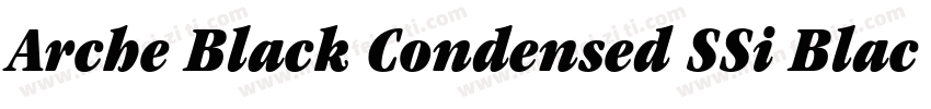 Arche Black Condensed SSi Black Condensed Italic字体转换